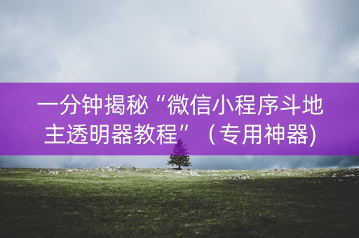 一分钟揭秘“微信小程序斗地主透明器教程”（专用神器)