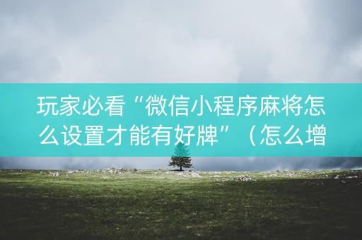 玩家必看“微信小程序麻将怎么设置才能有好牌”（怎么增加胜率)
