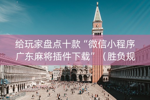给玩家盘点十款“微信小程序广东麻将插件下载”（胜负规律拿好牌)