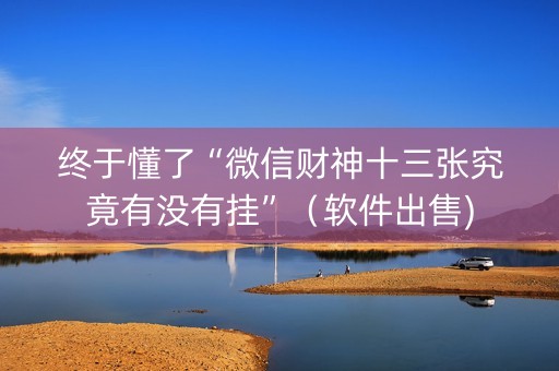 终于懂了“微信财神十三张究竟有没有挂”（软件出售)