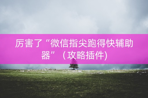 厉害了“微信指尖跑得快辅助器”（攻略插件)