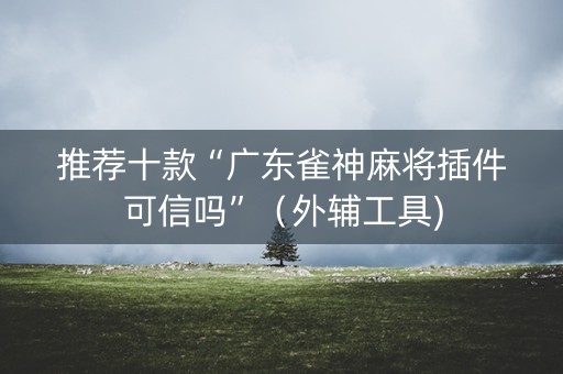 推荐十款“广东雀神麻将插件可信吗”（外辅工具)