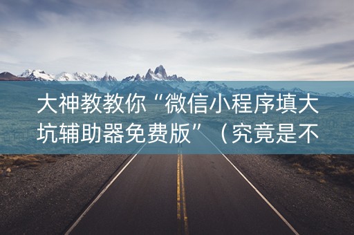大神教教你“微信小程序填大坑辅助器免费版”（究竟是不是有挂)