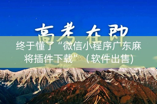 终于懂了“微信小程序广东麻将插件下载”（软件出售)