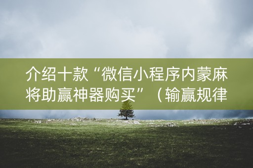 介绍十款“微信小程序内蒙麻将助赢神器购买”（输赢规律)