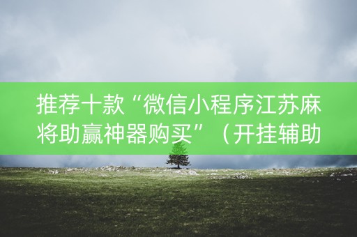 推荐十款“微信小程序江苏麻将助赢神器购买”（开挂辅助器脚本)