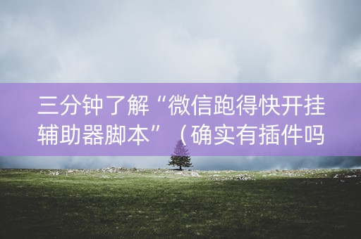 三分钟了解“微信跑得快开挂辅助器脚本”（确实有插件吗)