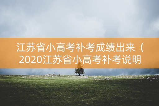 江苏省小高考补考成绩出来（2020江苏省小高考补考说明）