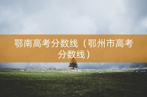 鄂南高考分数线（鄂州市高考分数线）