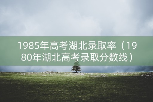 1985年高考湖北录取率（1980年湖北高考录取分数线）