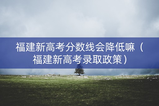 福建新高考分数线会降低嘛（福建新高考录取政策）