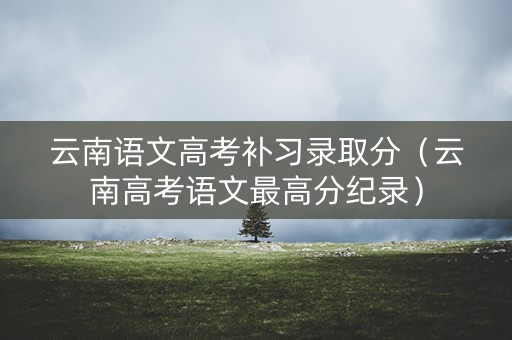 云南语文高考补习录取分（云南高考语文最高分纪录）
