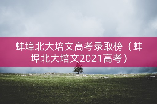 蚌埠北大培文高考录取榜（蚌埠北大培文2021高考）