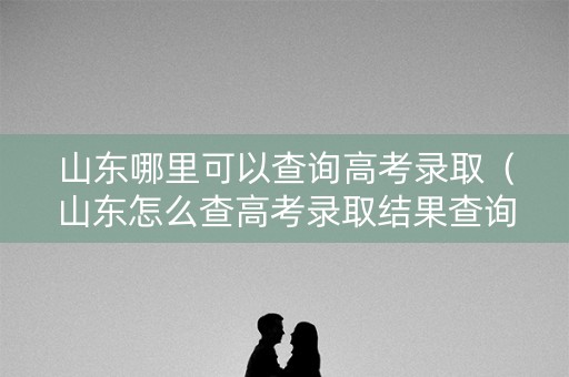 山东哪里可以查询高考录取（山东怎么查高考录取结果查询）