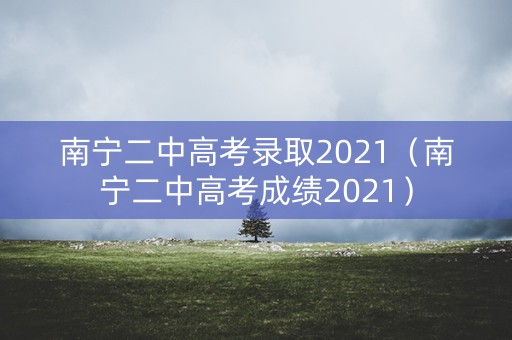 南宁二中高考录取2021（南宁二中高考成绩2021）