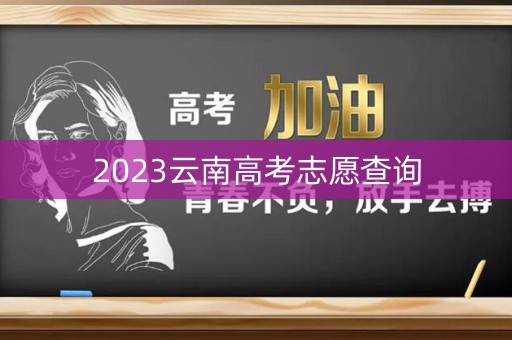 2023云南高考志愿查询