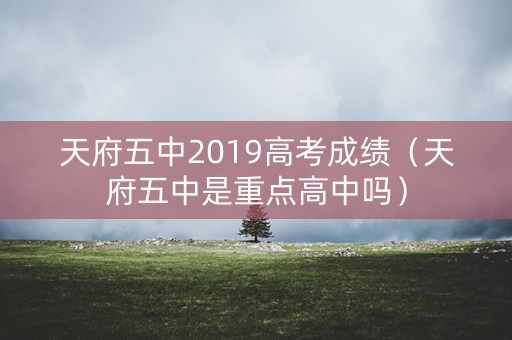 天府五中2019高考成绩（天府五中是重点高中吗）