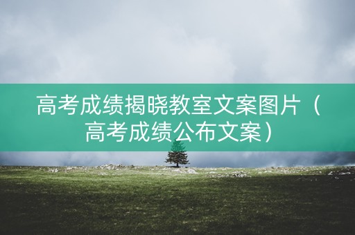 高考成绩揭晓教室文案图片（高考成绩公布文案）