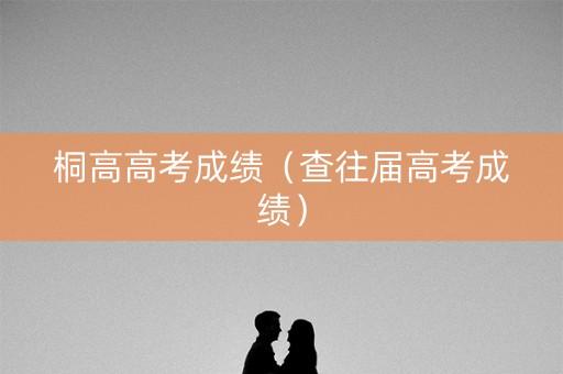 桐高高考成绩（查往届高考成绩）