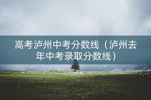 高考泸州中考分数线（泸州去年中考录取分数线）