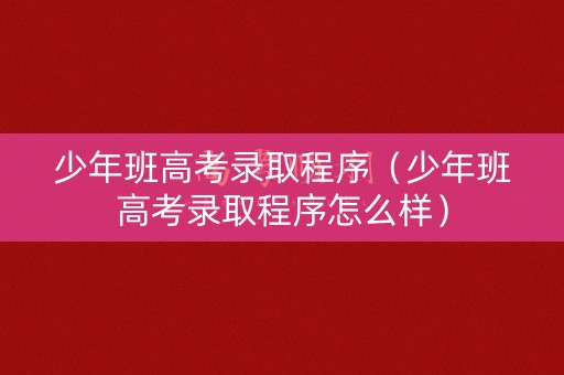少年班高考录取程序（少年班高考录取程序怎么样）