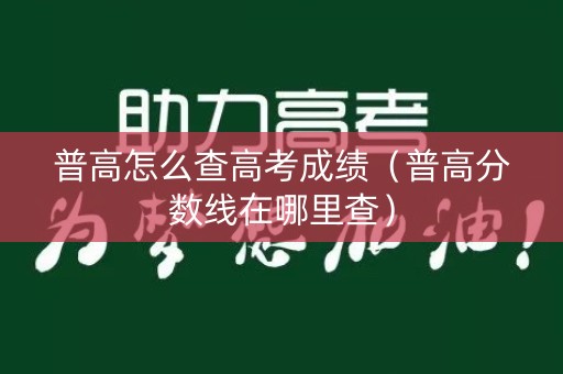 普高怎么查高考成绩（普高分数线在哪里查）