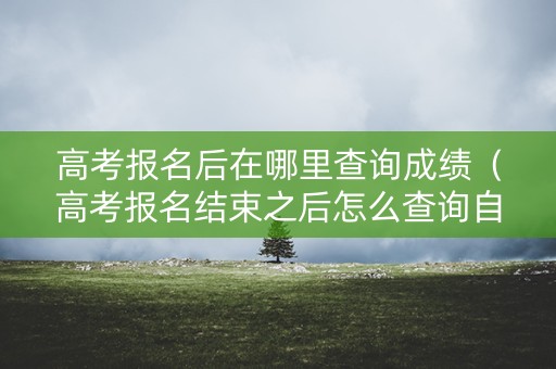 高考报名后在哪里查询成绩（高考报名结束之后怎么查询自己的报考信息）