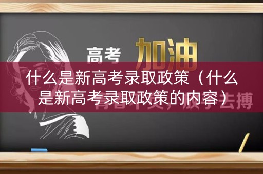 什么是新高考录取政策（什么是新高考录取政策的内容）