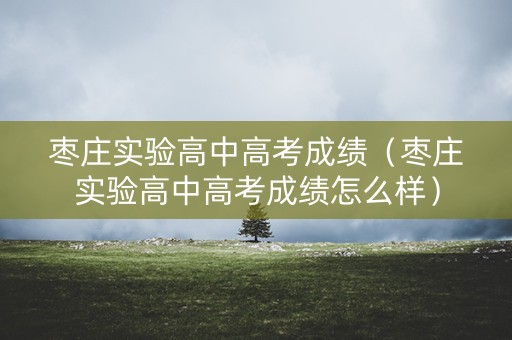 枣庄实验高中高考成绩（枣庄实验高中高考成绩怎么样）