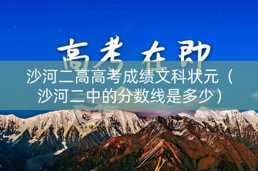 沙河二高高考成绩文科状元（沙河二中的分数线是多少）