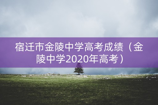 宿迁市金陵中学高考成绩（金陵中学2020年高考）