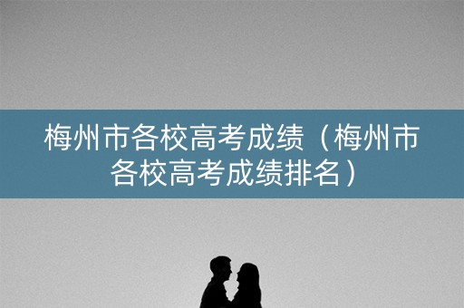 梅州市各校高考成绩（梅州市各校高考成绩排名）