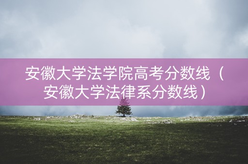 安徽大学法学院高考分数线（安徽大学法律系分数线）