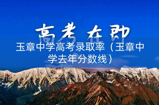 玉章中学高考录取率（玉章中学去年分数线）