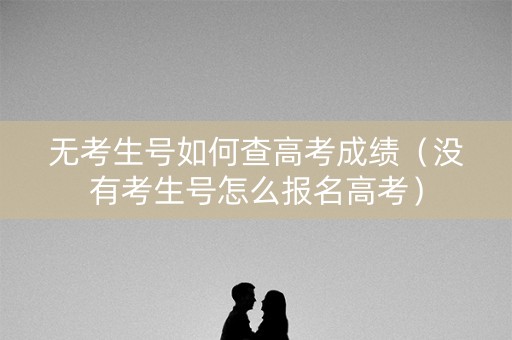 无考生号如何查高考成绩（没有考生号怎么报名高考）
