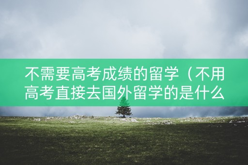 不需要高考成绩的留学（不用高考直接去国外留学的是什么）