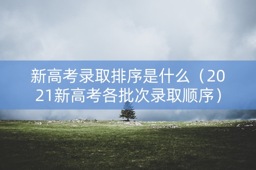 新高考录取排序是什么（2021新高考各批次录取顺序）