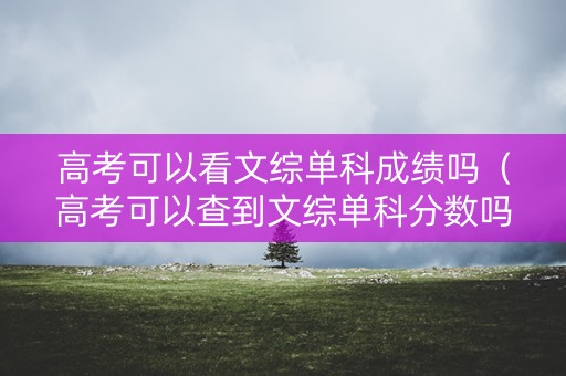 高考可以看文综单科成绩吗（高考可以查到文综单科分数吗?）