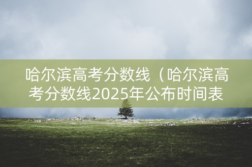 哈尔滨高考分数线（哈尔滨高考分数线2025年公布时间表）