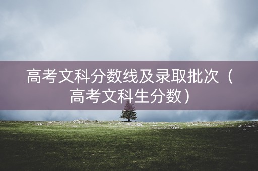 高考文科分数线及录取批次（高考文科生分数）