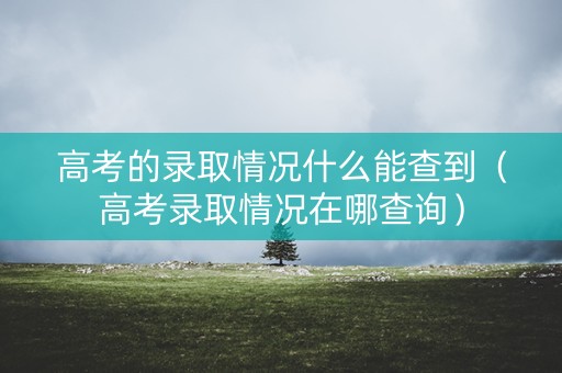 高考的录取情况什么能查到（高考录取情况在哪查询）