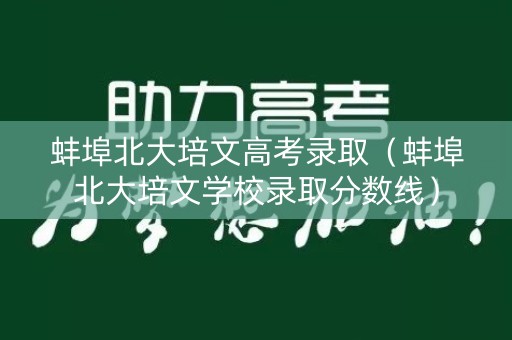 蚌埠北大培文高考录取（蚌埠北大培文学校录取分数线）