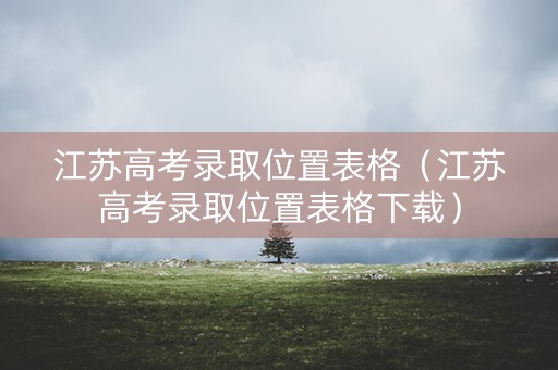 江苏高考录取位置表格（江苏高考录取位置表格下载）