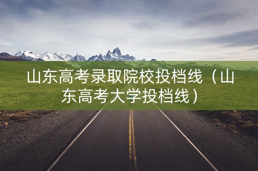 山东高考录取院校投档线（山东高考大学投档线）