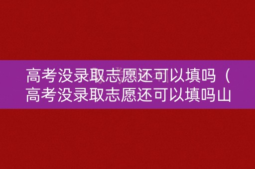 高考没录取志愿还可以填吗（高考没录取志愿还可以填吗山东）