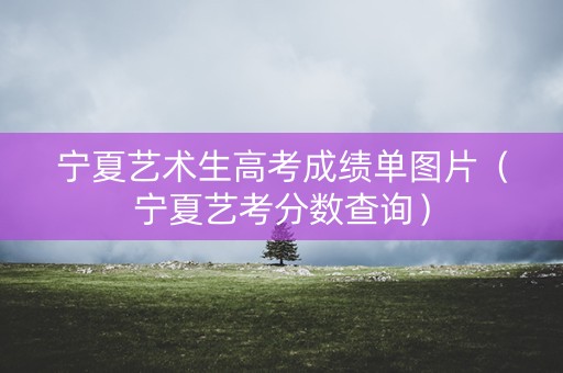 宁夏艺术生高考成绩单图片（宁夏艺考分数查询）