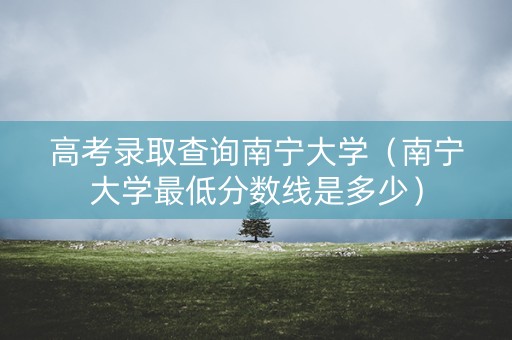 高考录取查询南宁大学（南宁大学最低分数线是多少）