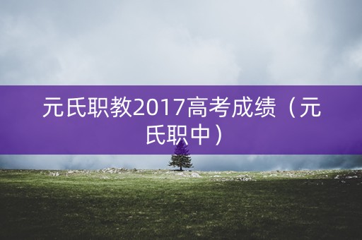 元氏职教2017高考成绩（元氏职中）