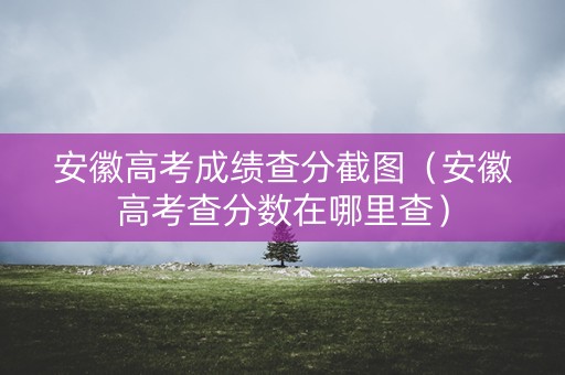 安徽高考成绩查分截图（安徽高考查分数在哪里查）