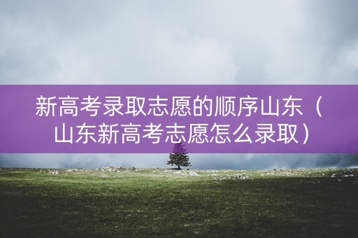 新高考录取志愿的顺序山东（山东新高考志愿怎么录取）